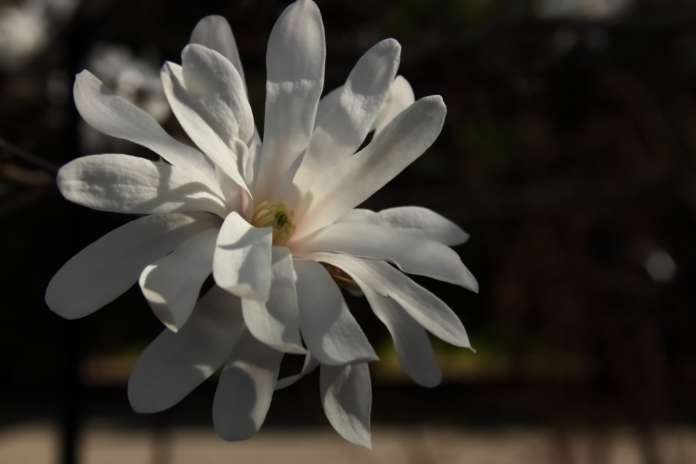 2012 03 20 9999 270